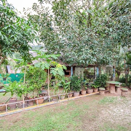 Oyo 75312 Banana Lodge Кхаулак Экстерьер фото